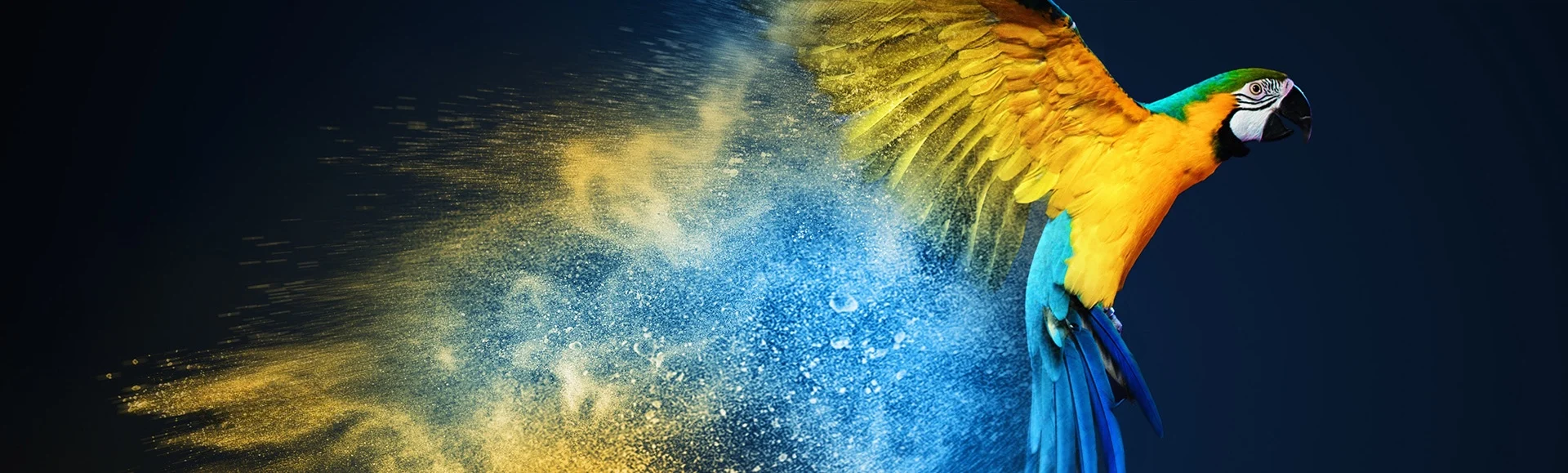 LED Ekranų sprendimai